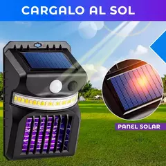 Pack 4 luces Solares 2 en 1 en internet