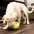 Kong Rewards Tennis - Bola Interativa que Libera Alimento para Cães - GRANDE na internet
