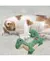 KONG CAT LUVS LIZARD - comprar online