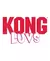 KONG CAT LUVS LIZARD - loja online