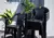 Combo 2 Sillas Ancona Mascardi 1 Mesa Cuadrada 75x75 Color Negro - comprar online