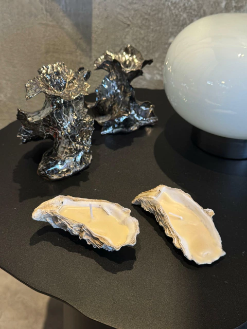 Velas en ostras (caracoles)