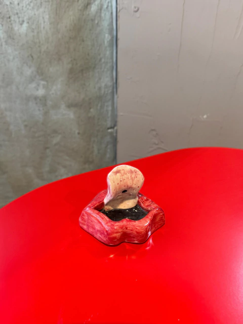 Mini Boca con Lengua