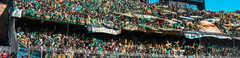 Banner de la categoría ALDOSIVI