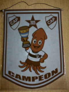 Banderín Grande Platense Campeon 2025 - LM MERCHANDISING
