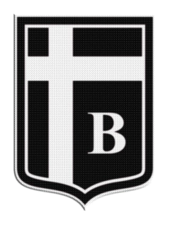Patch Termocolante 7,5 cm De Sportivo Belgrano +20 Modelos