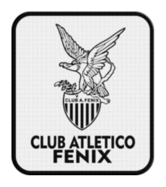 Imagen de Parche Termoadhesivo 7,5 cm De Fenix +30 Modelos