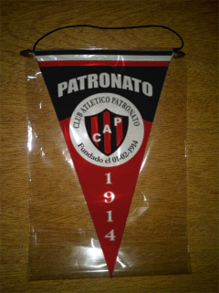 Image of Triangular Pennant Patronato