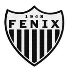 Parche Termoadhesivo 7,5 cm De Fenix +30 Modelos en internet