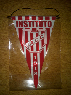 Banderin Triangular Instituto 21 Modelos - tienda online