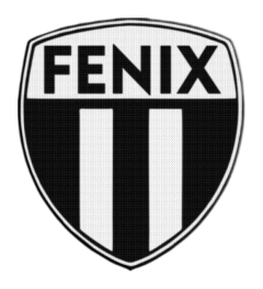 Parche Termoadhesivo 7,5 cm De Fenix +30 Modelos - tienda online