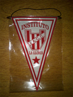 Banderin Triangular Instituto 21 Modelos - tienda online