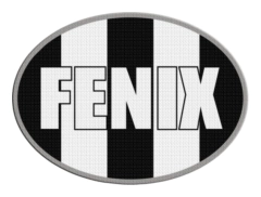 Parche Termoadhesivo 7,5 cm De Fenix +30 Modelos en internet