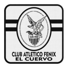 Parche Termoadhesivo 7,5 cm De Fenix +30 Modelos - comprar online