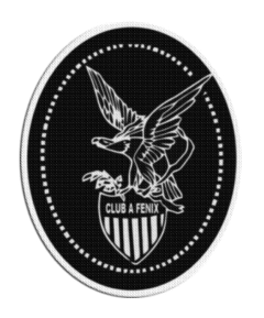 Parche Termoadhesivo 7,5 cm De Fenix +30 Modelos - tienda online