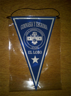 Banderin Triangular Gimnasia Y Esgrima 32 Modelos