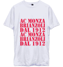 Remera Urbana de Algodon Adulto de Ac Monza - tienda online