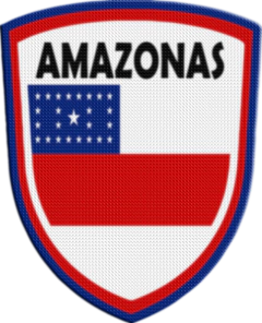 Parche Termoadhesivo 7,5 cm Shield - Estados de Brasil - comprar online