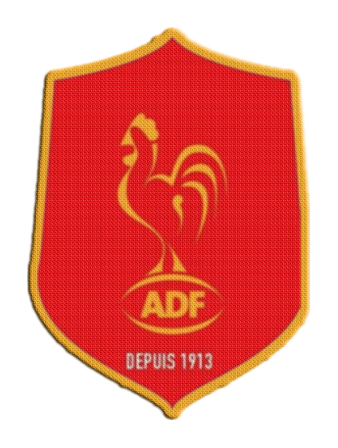 Iron-On Patch 7,5 cm Asociacion Deportiva Francesa - buy online