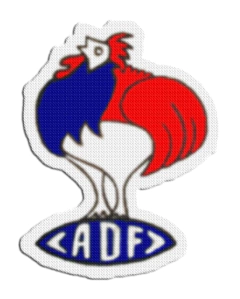Iron-On Patch 7,5 cm Asociacion Deportiva Francesa - LM MERCHANDISING