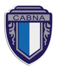 Iron-On Patch 7,5 cm Banco Nacion - buy online