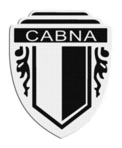 Iron-On Patch 7,5 cm Banco Nacion on internet