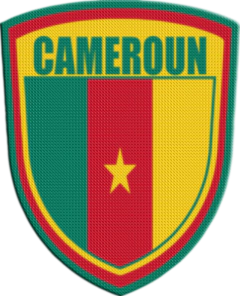 Parche Termoadhesivo 7,5 cm Shield - Países de África en internet