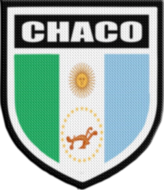 Imagen de Parche Termoadhesivo 7,5 cm Shield - Provincias Argentinas