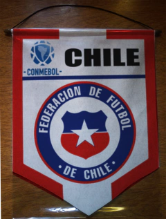 Large Pennant Selecciones de CONMEBOL on internet