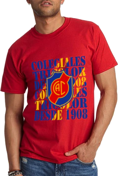 Remera Algodon Urbana De Adulto De Colegiales 5 Modelos - LM MERCHANDISING