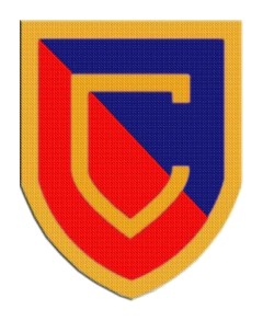 Iron-On Patch 7,5 cm Curupayti - buy online