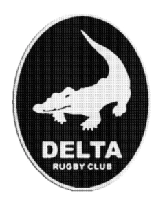 Patch Termocolante 7,5 cm Delta Rugby Club na internet