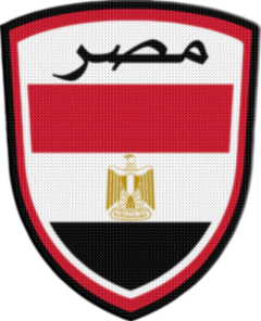 Parche Termoadhesivo 7,5 cm Shield - Países de África en internet