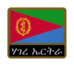 Imagen de Parche Termoadhesivo 7,5 cm Bandera con Nombre - Países de África