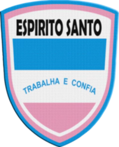 Parche Termoadhesivo 7,5 cm Shield - Estados de Brasil en internet