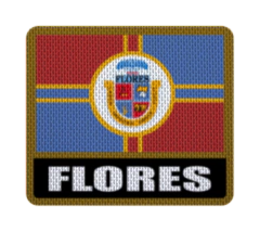 Iron-On Patch 7,5 cm Bandera con Nombre - Departamentos de Uruguay - LM MERCHANDISING