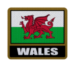 Parche Termoadhesivo 7,5 cm Bandera con Nombre - Países de Europa hasta Lituania - comprar online