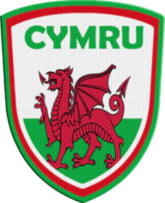 Parche Termoadhesivo 7,5 cm Shield - Países de Europa - comprar online