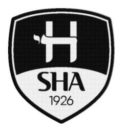 Imagem do Patch Termocolante 7,5 cm Hebraica