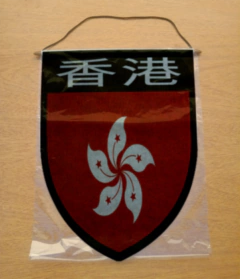 Banderin Grande Países de Asia - comprar online