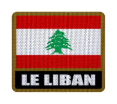 Parche Termoadhesivo 7,5 cm Bandera con Nombre - Países de Asia hasta Myanmar - LM MERCHANDISING