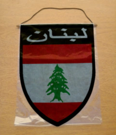 Banderin Grande Países de Asia en internet