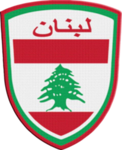 Patch Termocolante 7,5 cm Shield - Países de Asia - comprar online