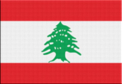 Parche Termoadhesivo 7,5 cm Bandera - Países de Asia - tienda online