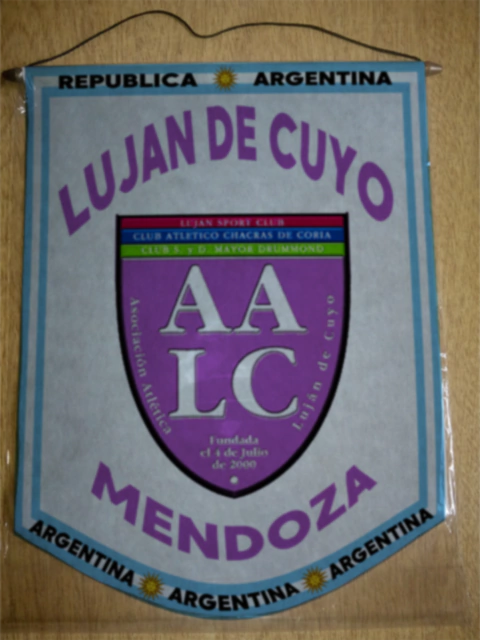 Medium Pennant Lujan De Cuyo Mendoza - buy online