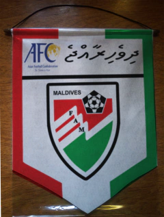 Large Pennant Selecciones de AFC - buy online