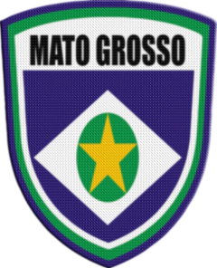 Parche Termoadhesivo 7,5 cm Shield - Estados de Brasil - tienda online