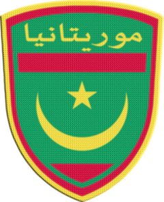 Parche Termoadhesivo 7,5 cm Shield - Países de África - comprar online