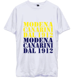 Remera Urbana de Algodon Adulto de Modena Fc
