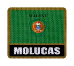 Iron-On Patch 7,5 cm Bandera con Nombre - Countries de Oceanía